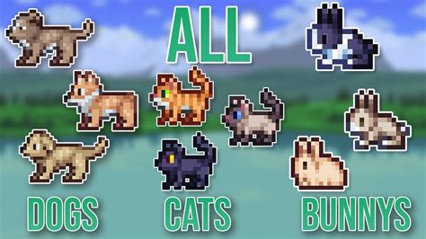 dog guide terraria